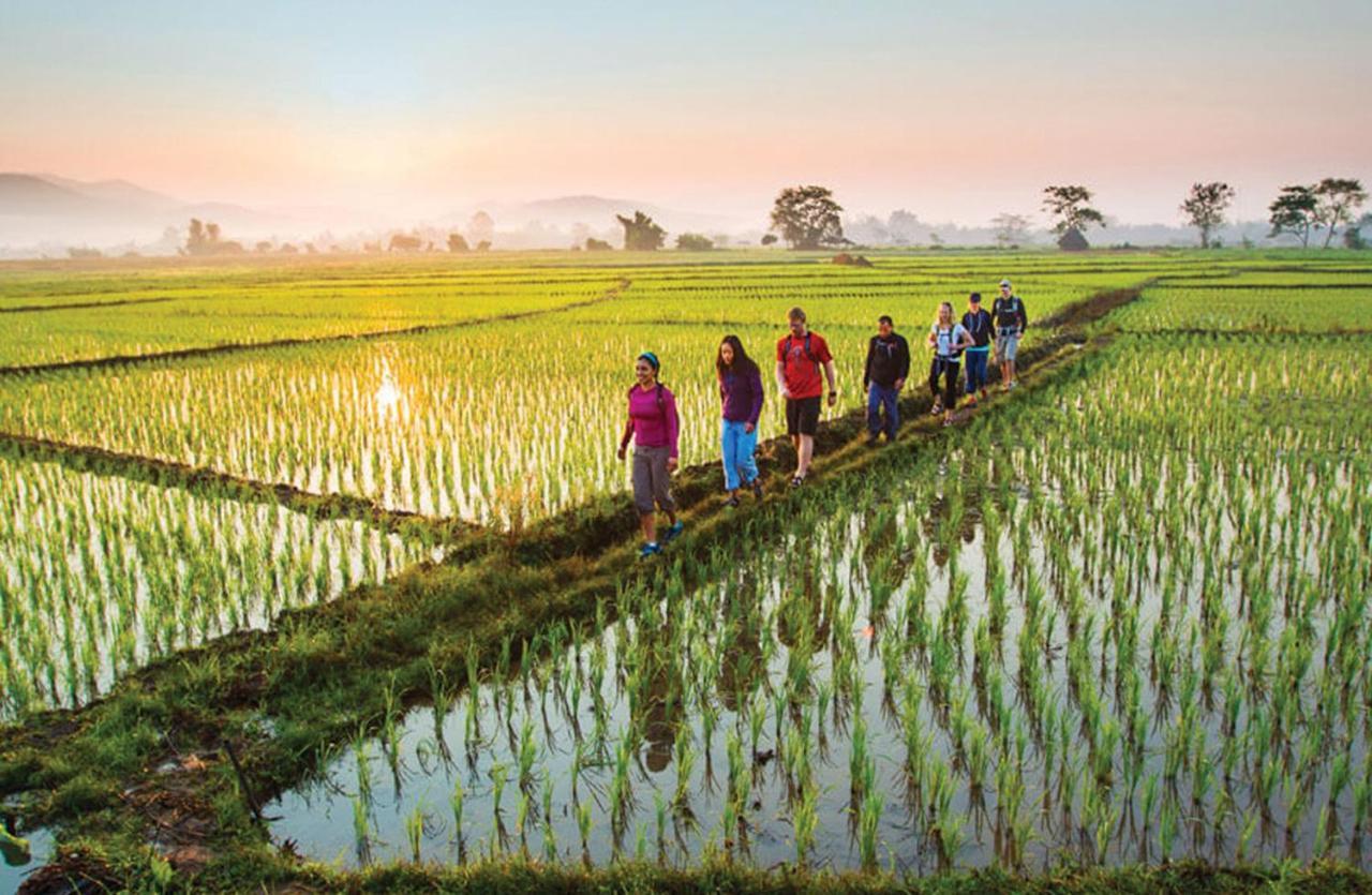 Goya Boutique Resort Убуд Екстериор снимка Rice fields in Vietnam